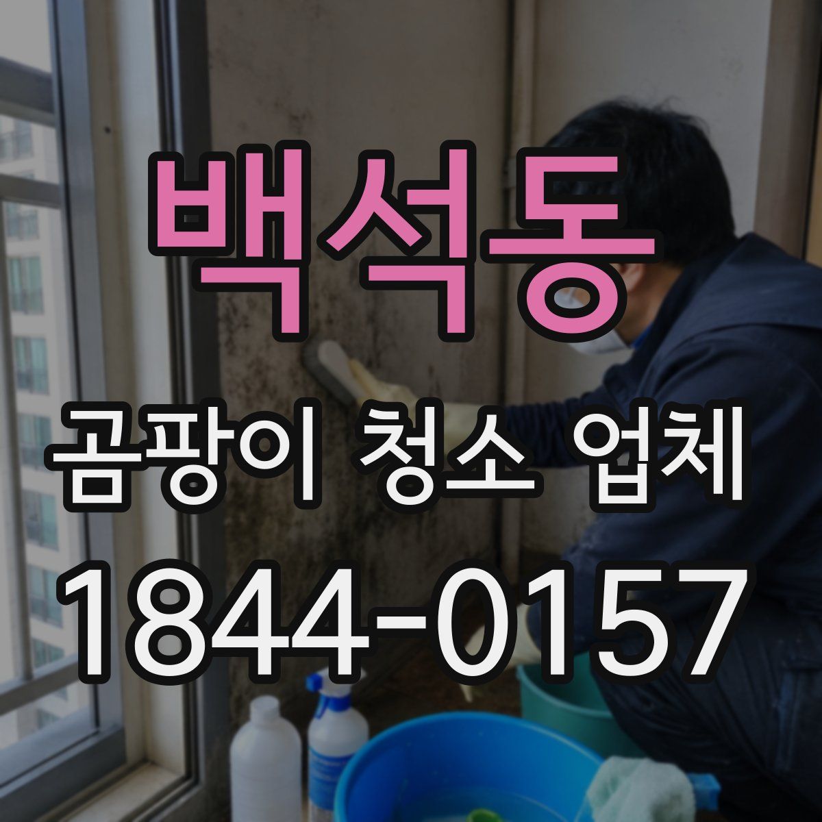 백석동 곰팡이 청소 업체