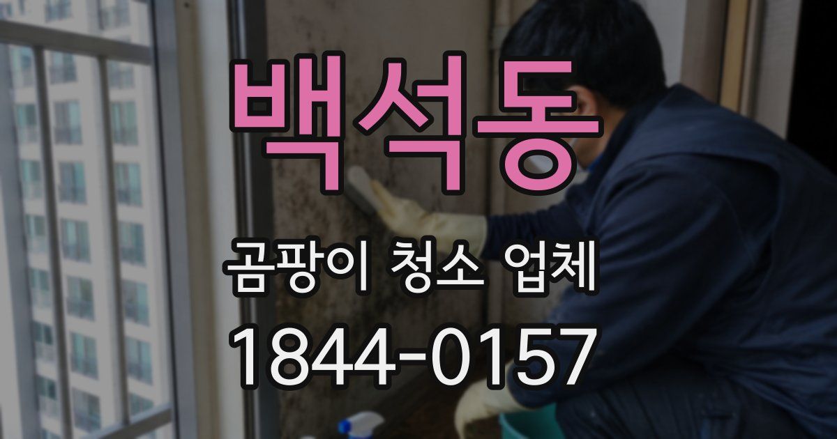 백석동 곰팡이 청소 업체