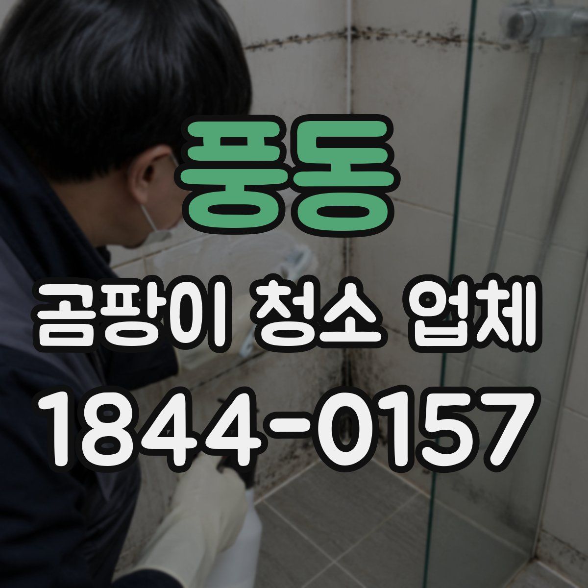 풍동 곰팡이 청소 업체