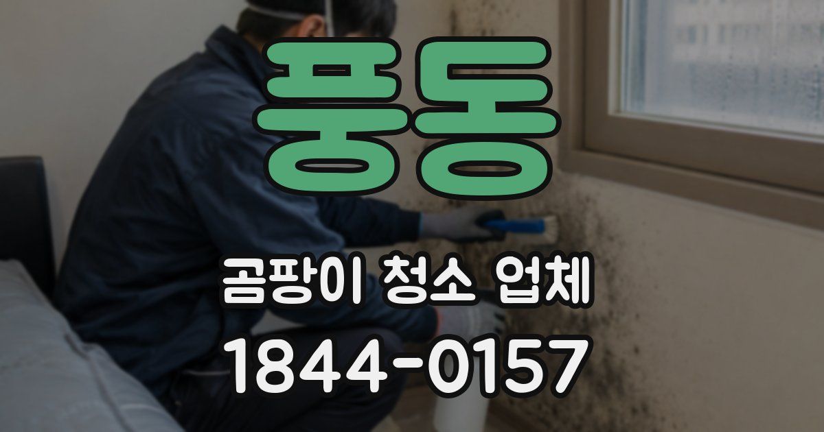 풍동 곰팡이 청소 업체