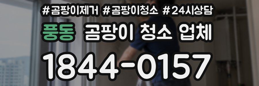 풍동 곰팡이 청소 업체