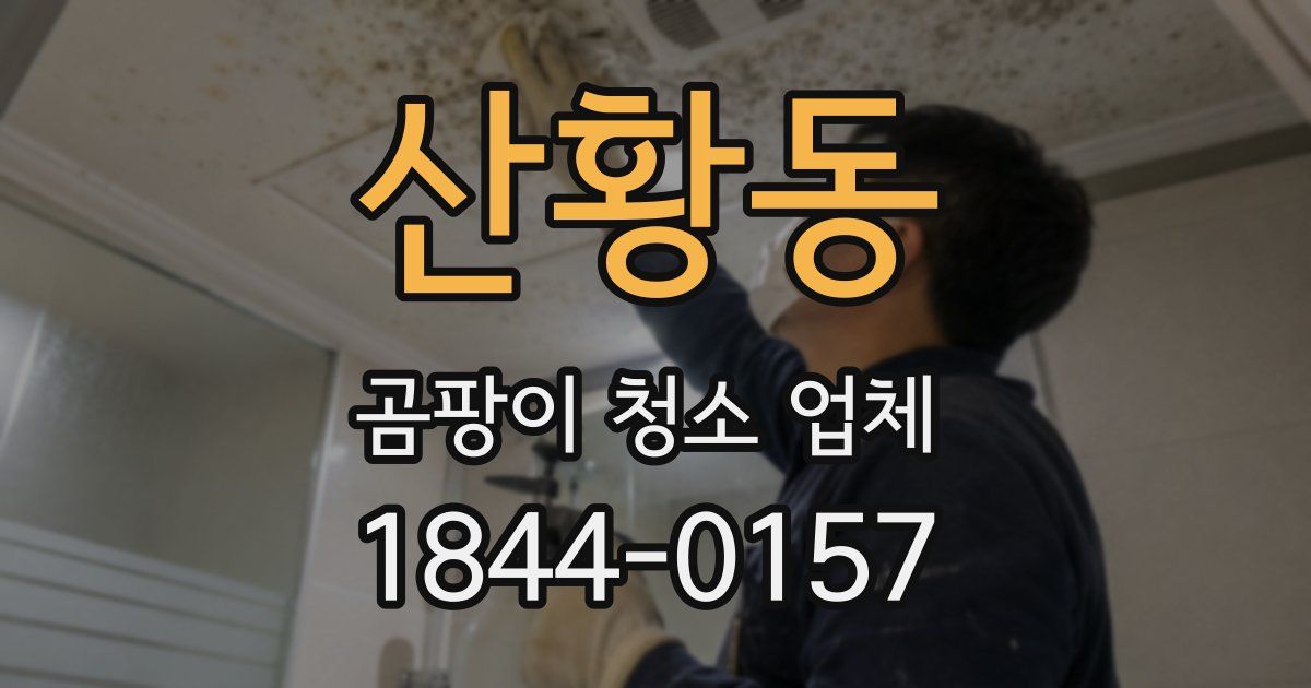 산황동 곰팡이 청소 업체