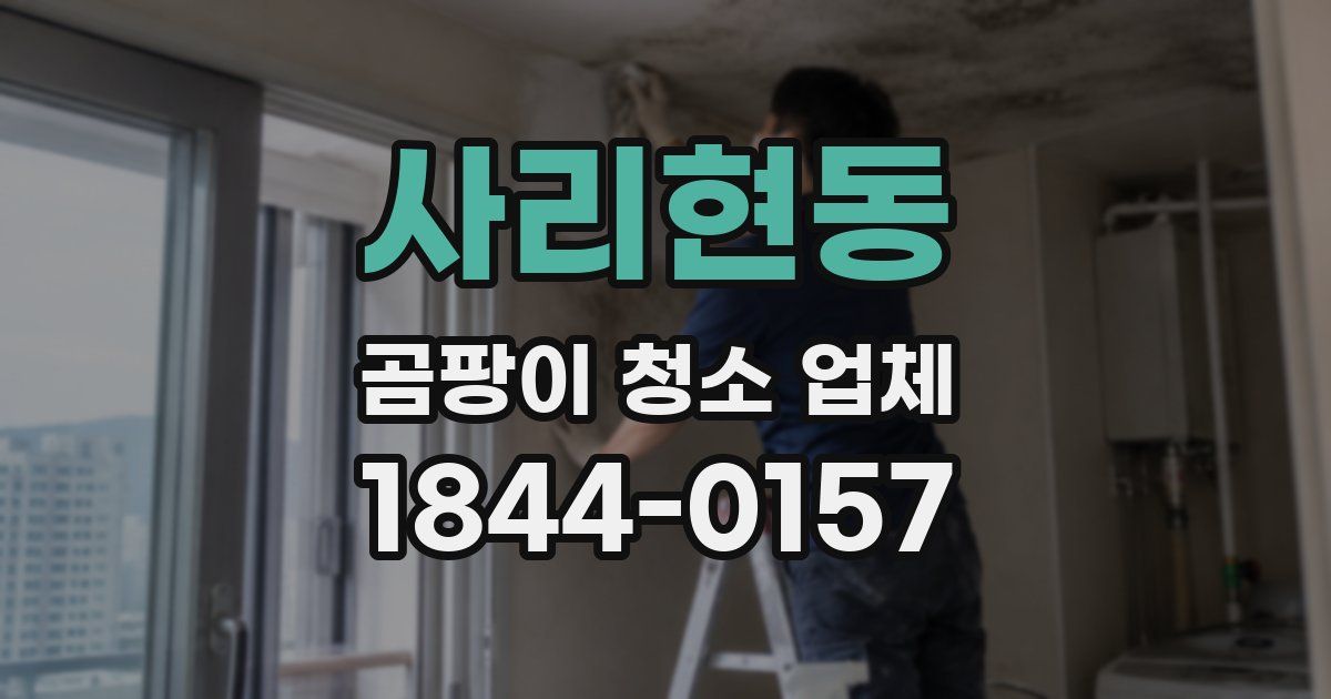 사리현동 곰팡이 청소 업체