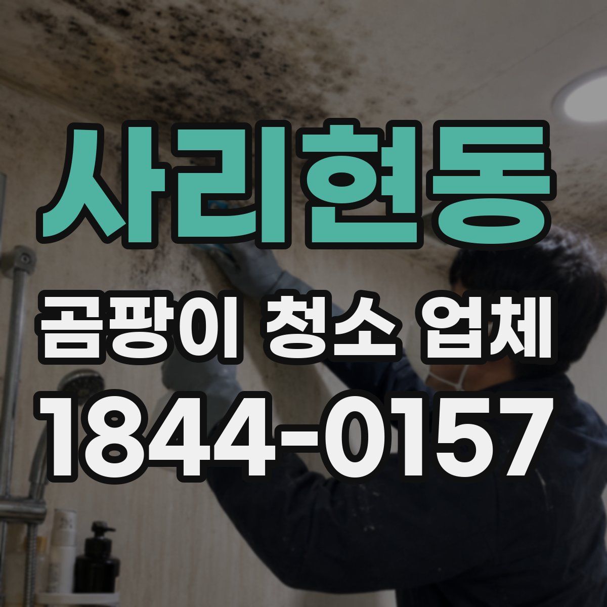 사리현동 곰팡이 청소 업체