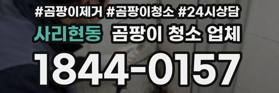 사리현동 곰팡이 청소 업체