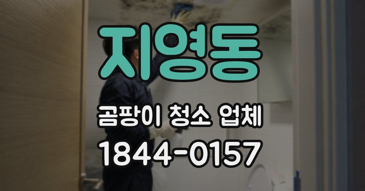 지영동 곰팡이 청소 업체