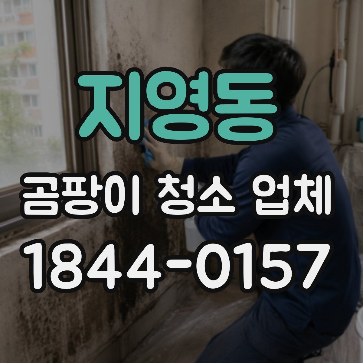 지영동 곰팡이 청소 업체