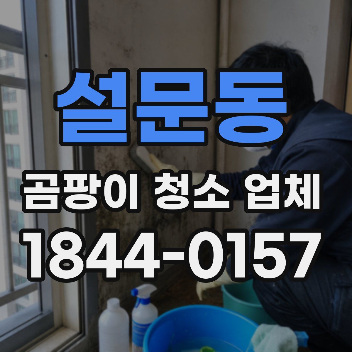 설문동 곰팡이 청소 업체