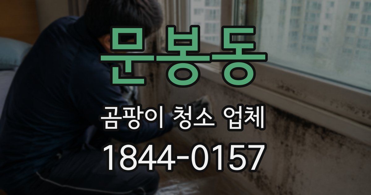 문봉동 곰팡이 청소 업체