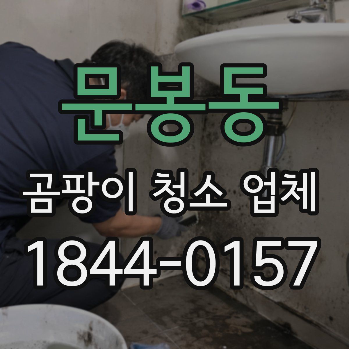 문봉동 곰팡이 청소 업체
