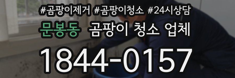 문봉동 곰팡이 청소 업체