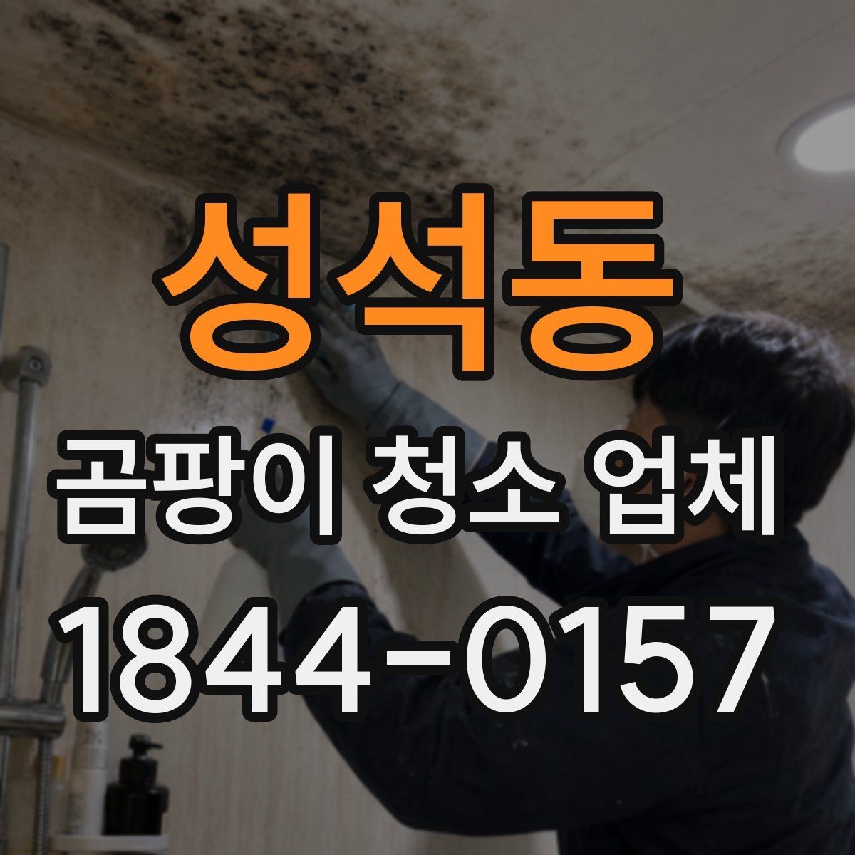 성석동 곰팡이 청소 업체 벽지와 욕실 곰팡이 제거 범위