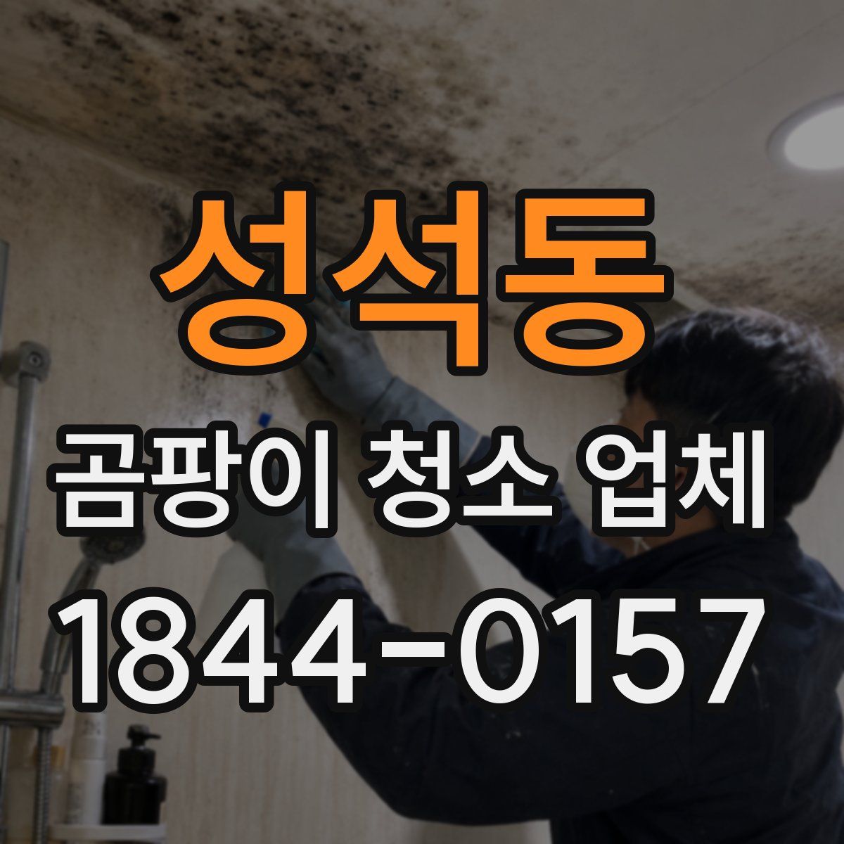 성석동 곰팡이 청소 업체