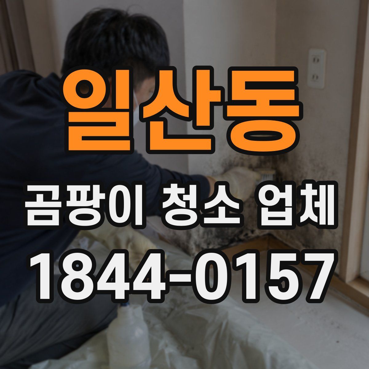 일산동 곰팡이 청소 업체