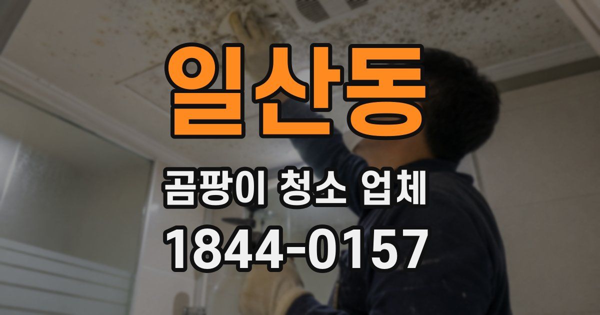 일산동 곰팡이 청소 업체
