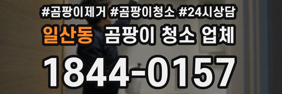 일산동 곰팡이 청소 업체