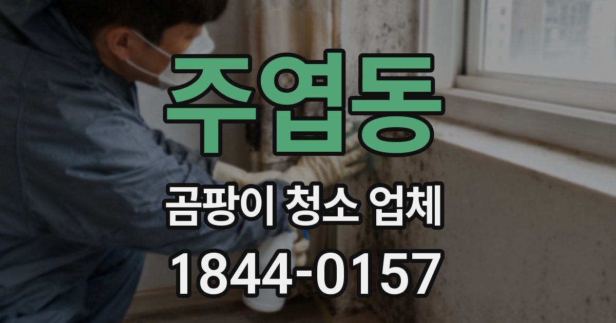 주엽동 곰팡이 청소 업체