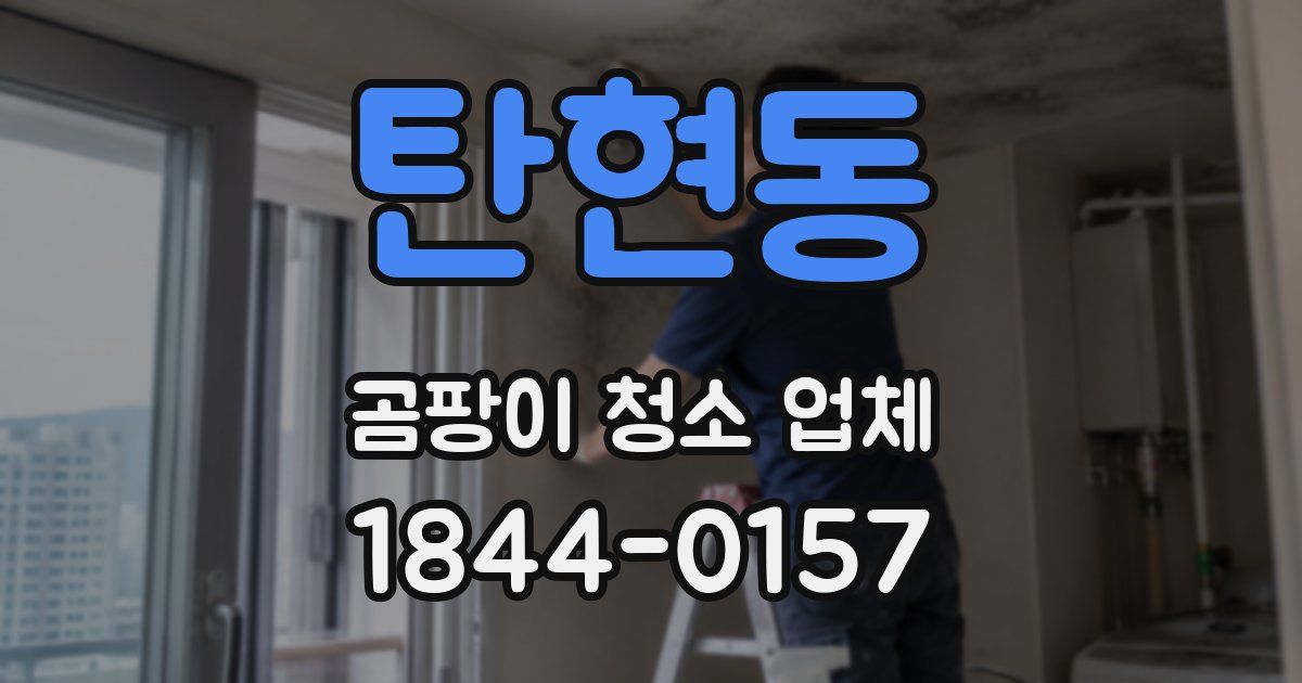 탄현동 곰팡이 청소 업체