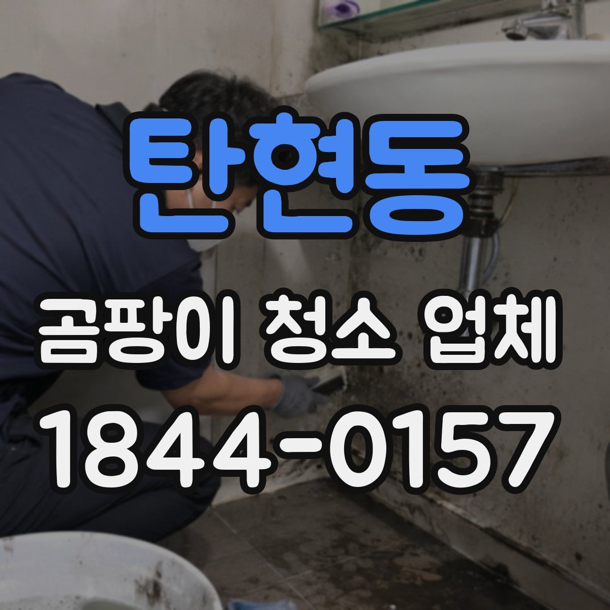 탄현동 곰팡이 청소 업체