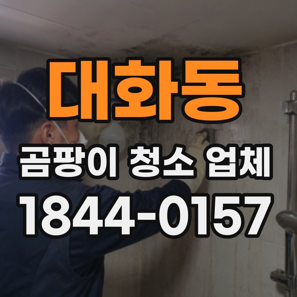 대화동 곰팡이 청소 업체