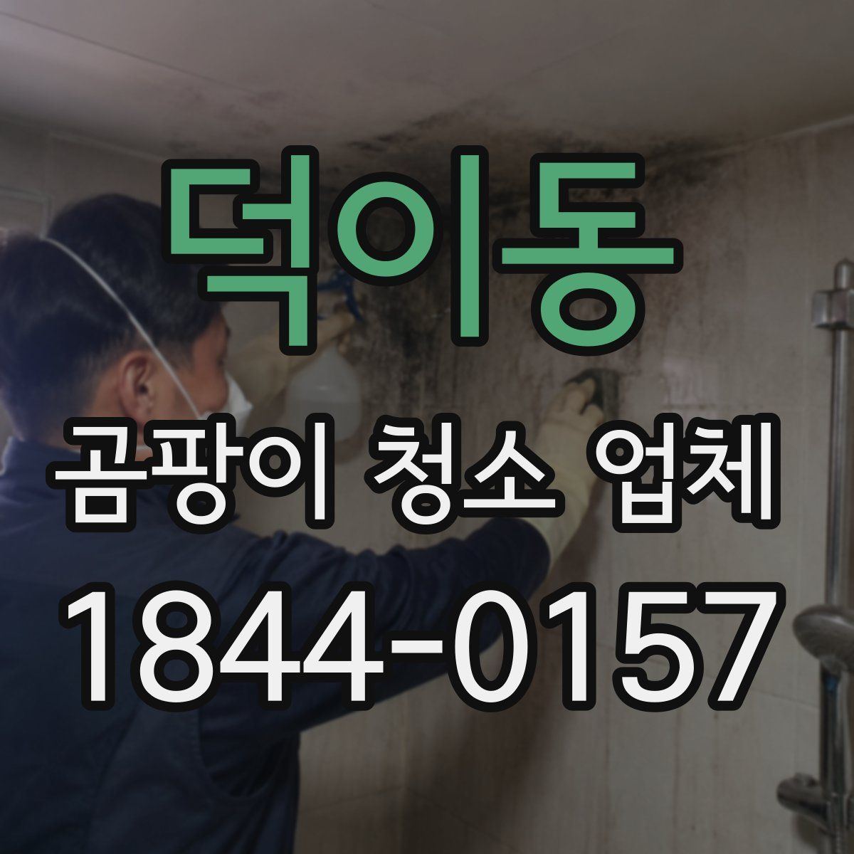 덕이동 곰팡이 청소 업체