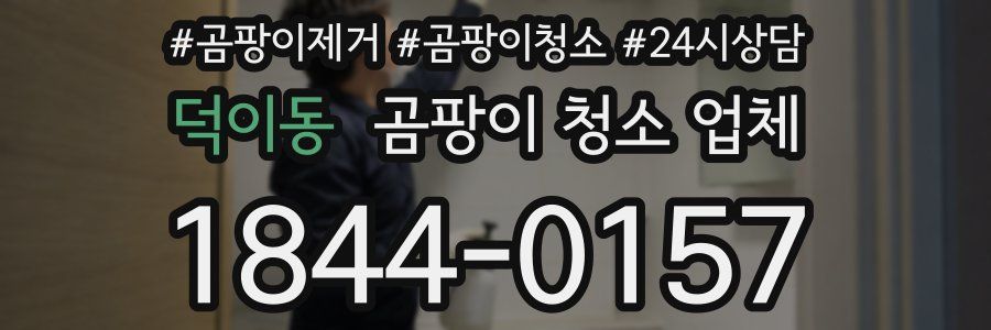 덕이동 곰팡이 청소 업체