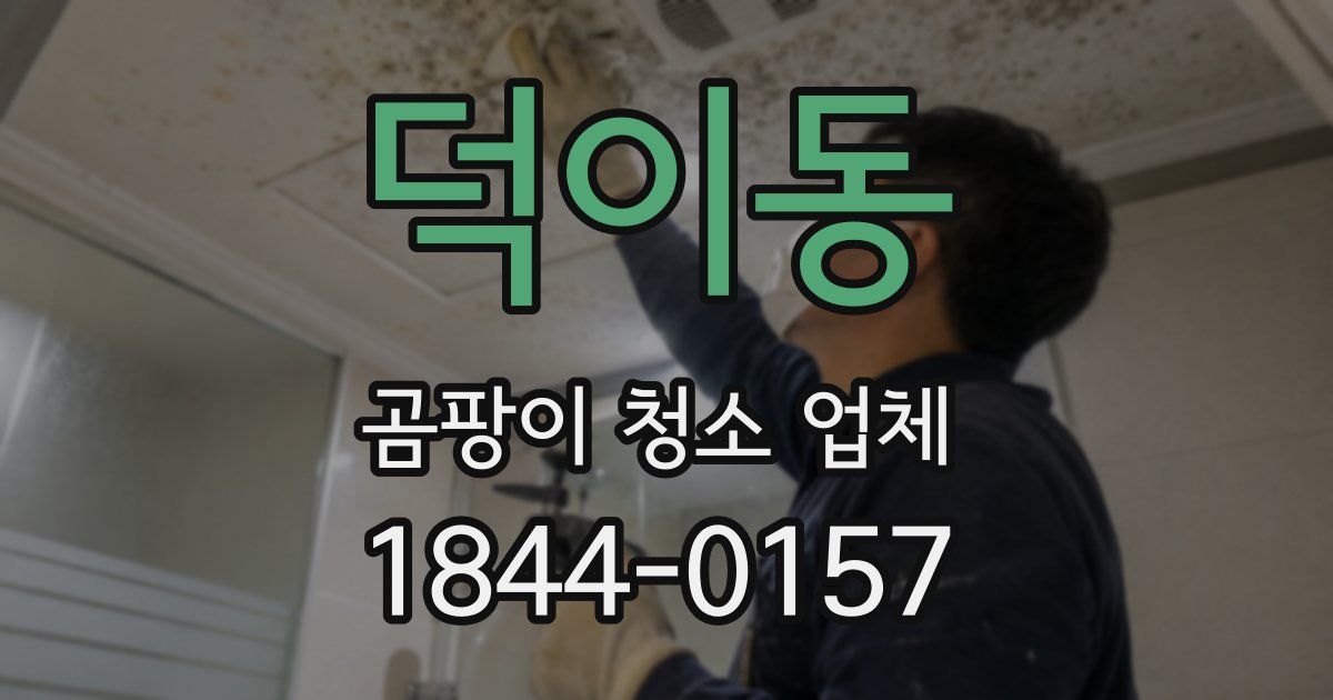 덕이동 곰팡이 청소 업체