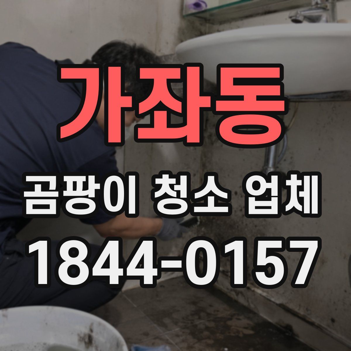가좌동 곰팡이 청소 업체