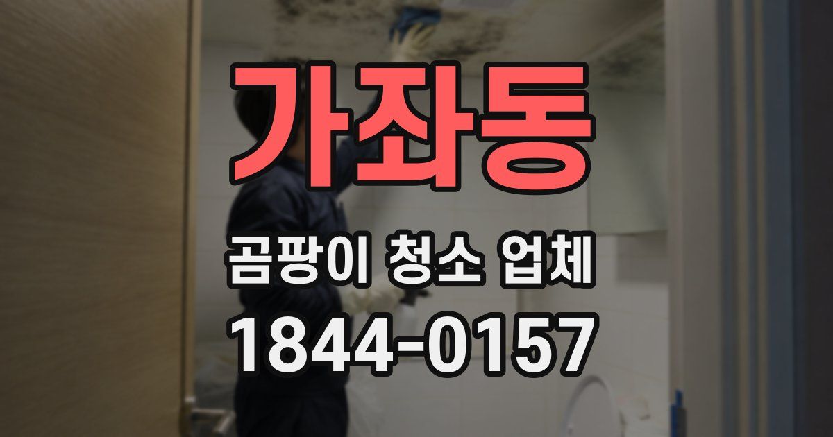 가좌동 곰팡이 청소 업체
