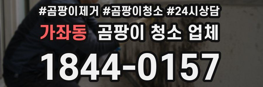가좌동 곰팡이 청소 업체