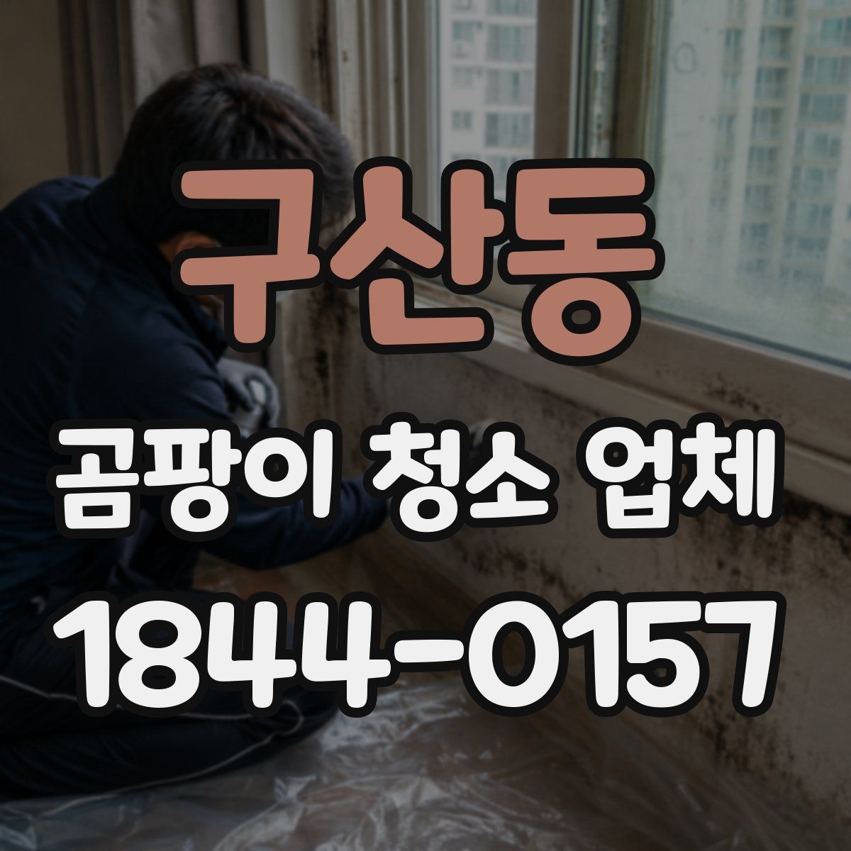 구산동 곰팡이 청소 업체