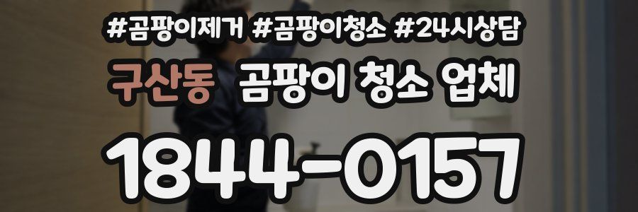구산동 곰팡이 청소 업체
