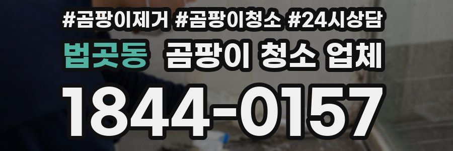 법곳동 곰팡이 청소 업체