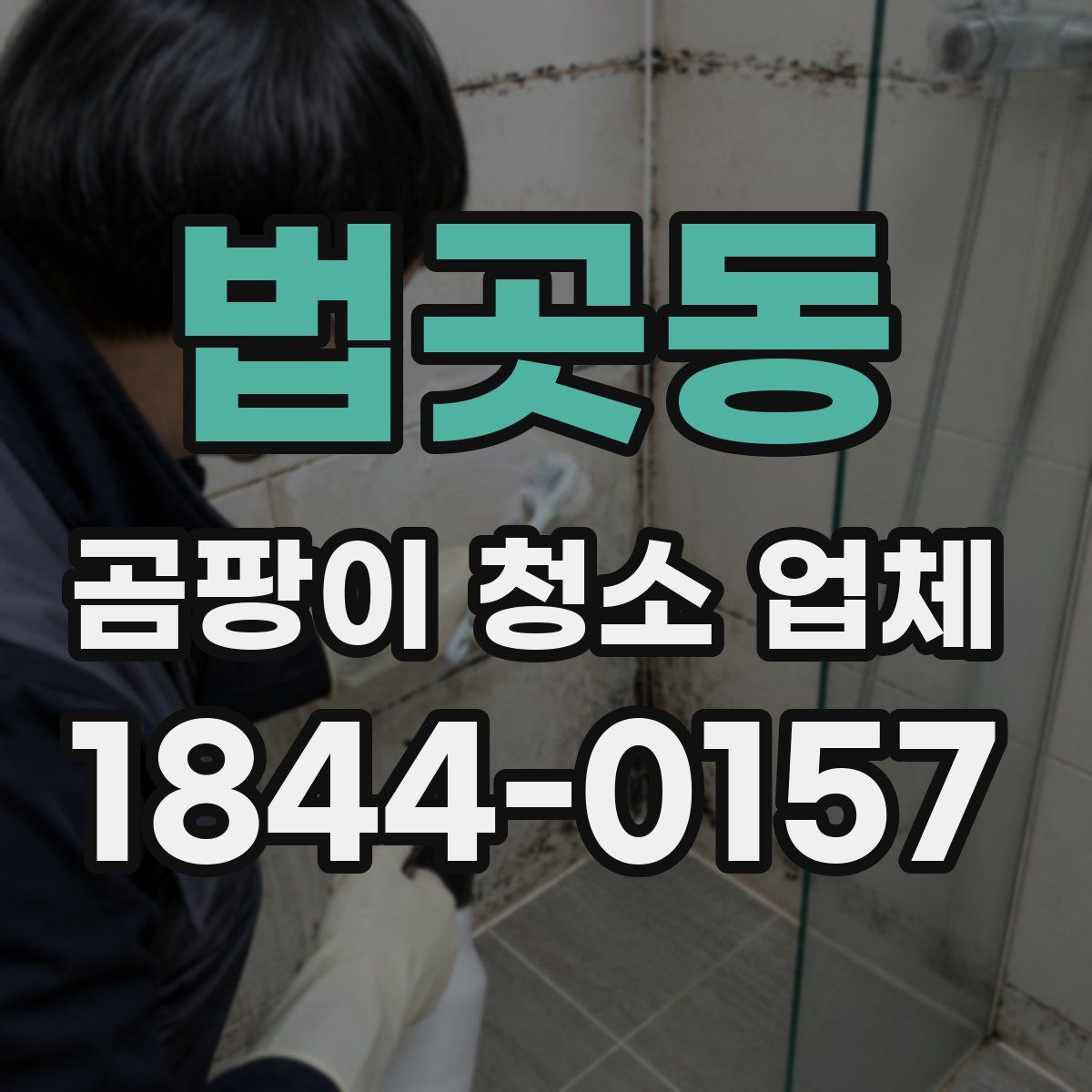 법곳동 곰팡이 청소 업체