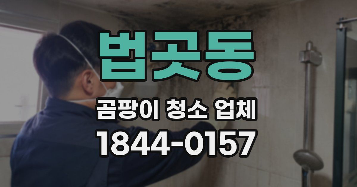 법곳동 곰팡이 청소 업체