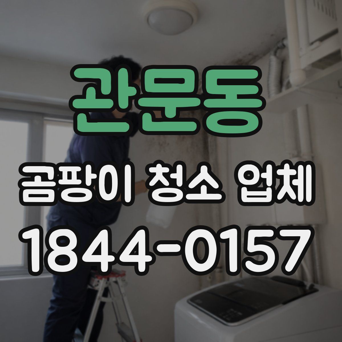 관문동 곰팡이 청소 업체