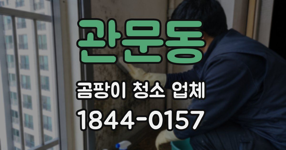 관문동 곰팡이 청소 업체
