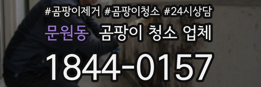 문원동 곰팡이 청소 업체