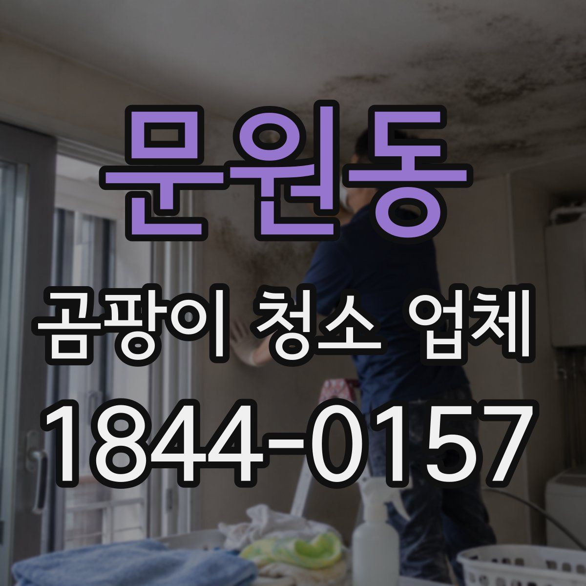 문원동 곰팡이 청소 업체