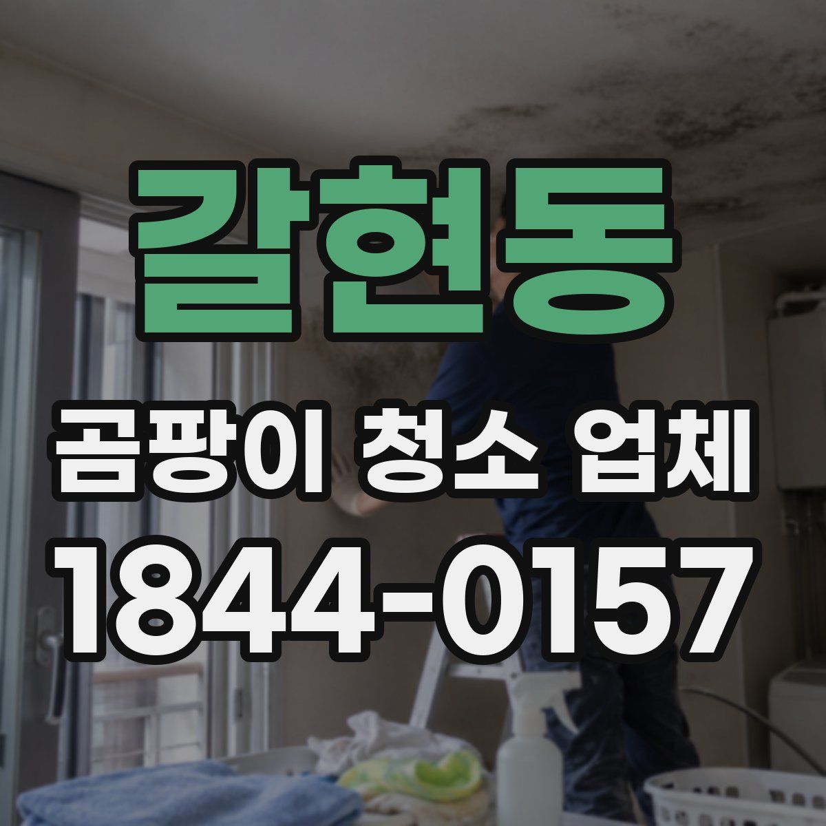 갈현동 곰팡이 청소 업체