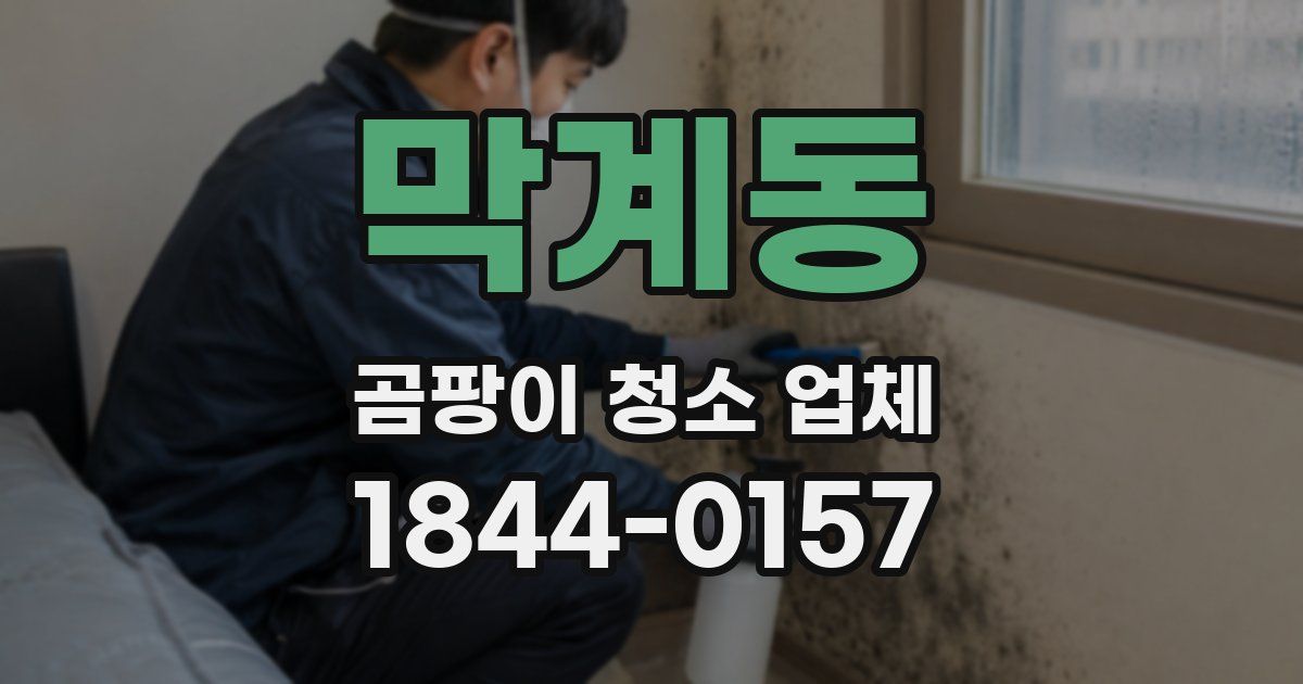 막계동 곰팡이 청소 업체