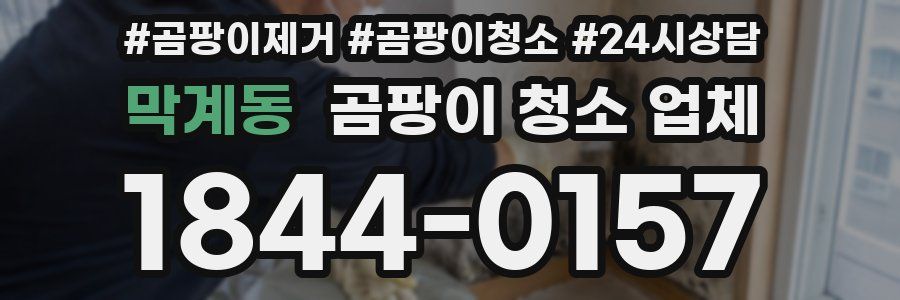 막계동 곰팡이 청소 업체