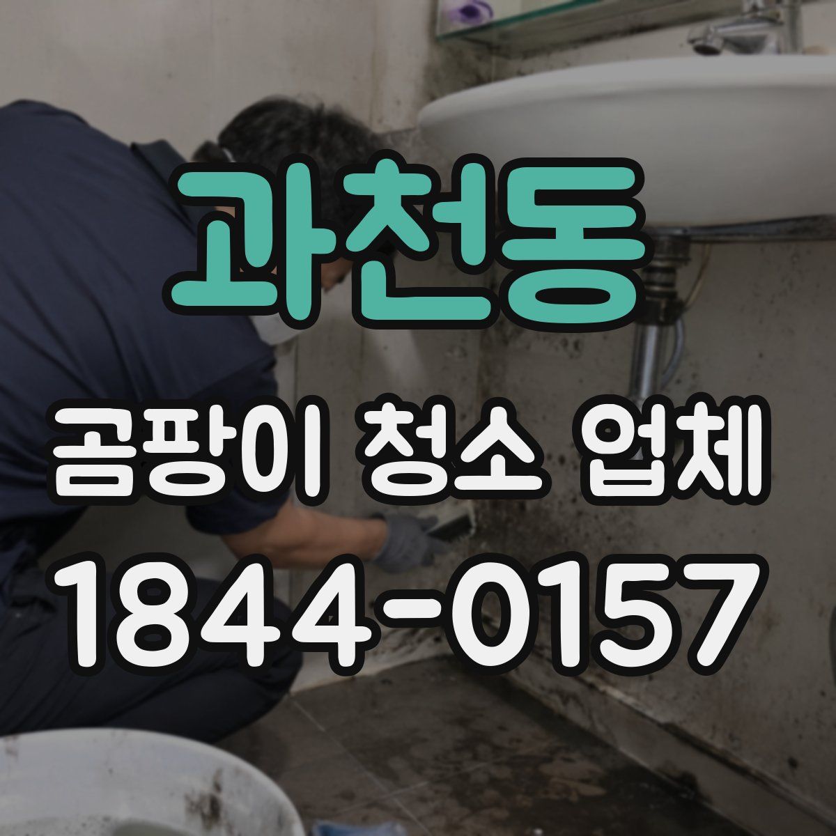 과천동 곰팡이 청소 업체