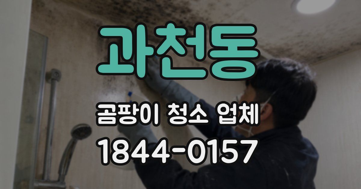 과천동 곰팡이 청소 업체