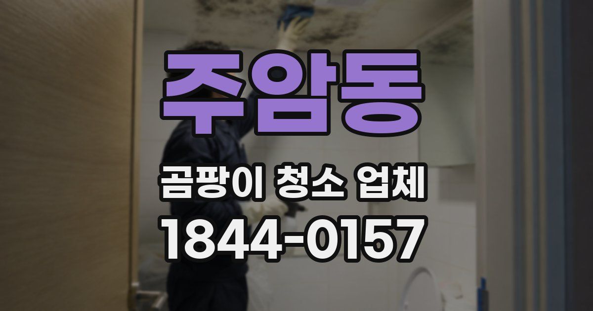 주암동 곰팡이 청소 업체