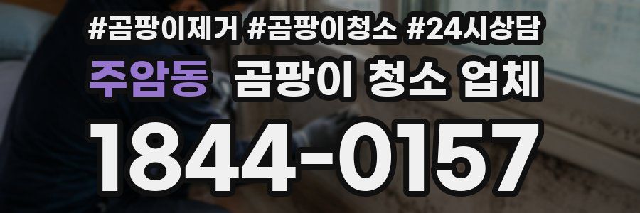 주암동 곰팡이 청소 업체