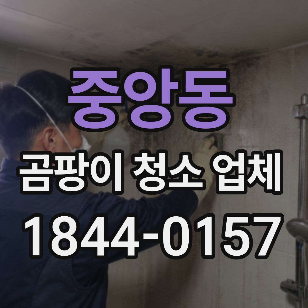중앙동 곰팡이 청소 업체