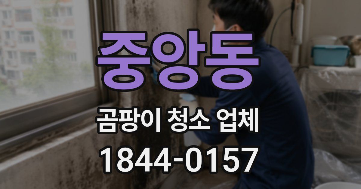 중앙동 곰팡이 청소 업체