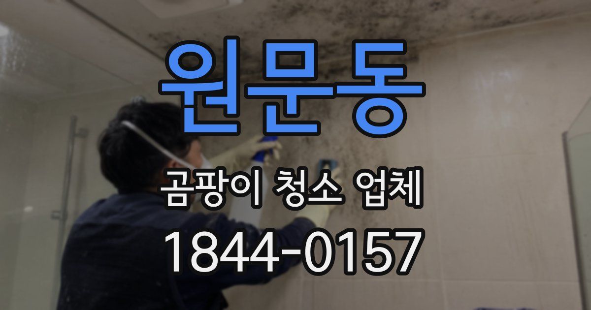 원문동 곰팡이 청소 업체