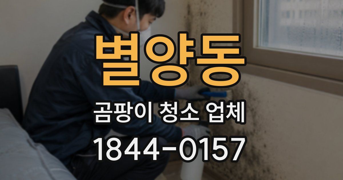 별양동 곰팡이 청소 업체